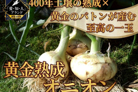 【日テレ出演で話題】黄金の甘さを継ぐ『黄金熟成オニオン』熟成が生む深い甘みのブランド玉ねぎ🧅お試しキャンペーン約1kg