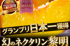 【お中元ギフト】🏆桃グランプリ総合大賞受賞🏆市場に0.01％しか流通していない超希少桃『ネクタリン黎明』大容量2キロ【朝どれ】グランプリ受賞の実力糖度🍑7月中旬発送開始