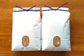 【エコ】【７分づき米＊５ｋｇ×②袋】栽培期間中農薬不使用コシヒカリ✨米穀類🥇１位✨食べチョクAW2023　天然資材＆有機質肥料のみ使用【令和７年産】一等米✨