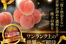 【シンガポールセレブセレブ御用達】🍑おどろき糖度16度以上プレミアム極上桃🍑一流レストラン御用達ワンランク上の完熟桃【贈答用・お中元ギフト】トロリとコクある濃厚な甘さ【朝どれ】🍑7月下旬発送開始🍑