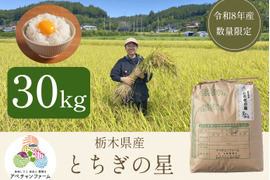 【令和8年産米】とちぎの星(30kg)白米｜令和の大嘗祭献上米品種｜栃木県産