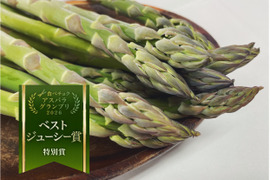食べチョク 全国アスパラグランプリ 2026 三冠👑獲得！！✨北海道 上富良野産グリーンアスパラガスLサイズ800g 【春芽】通販サイト年間4500件以上販売👑✨