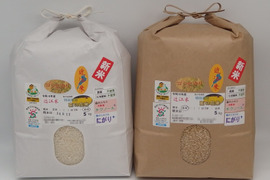 令和6年新米✣農薬化学肥料不使用✣近江米コシヒカリ✣玄米で食べてニッコリ菜の花米✣コンビ10kg