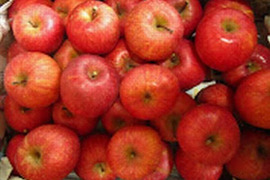 樹上完熟サンみしまふじ 小玉20個入り総重量 約4.5kg 青森県 南部地方産 自家りんご農園生産直送品！