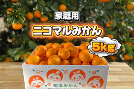 🍊家庭用🍊愛媛県明浜産　温州みかん   5kg