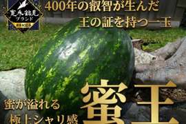 【最高糖度15度超え】選ばれし一玉にのみ刻まれる王の証🍉極限集中栽培が生んだ唯一無二のスイカ『蜜王』🍉寛永鶴見ブランド【7月中旬予約】