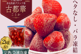 【❄️冷凍いちご2kg（1kg×2袋）】【古都華】そのまま食べれる新鮮バラ冷凍✨【贅沢いちごを瞬間冷凍🍓】