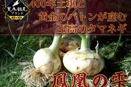 【日テレ出演で話題】💡市場では絶対に入手困難『鳳凰の雫』400年の伝統土壌で培われたブランド玉ねぎ🧅お試し約1キロ