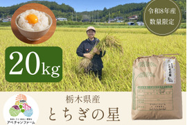 【令和8年産米】とちぎの星(20kg)白米｜令和の大嘗祭献上米品種｜栃木県産