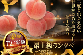 🍑わずか5%しか収穫できない🍑小野桃園シーズン初出し希少桃☆朝どれ糖度16度オーバーワンランク上レストラン御用達とろりとコクある濃厚糖度【お中元ギフト・贈答用】🍑6月下旬🍑