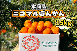 【愛媛県産】季節限定　甘味がギュッと詰まったポンカン　家庭用　15ｋｇ