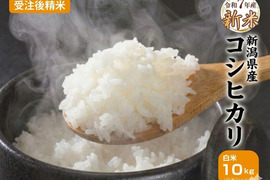 令和7年産 新米 新潟県産コシヒカリ 10kg【5kg×2袋】受注後精米 こしひかり