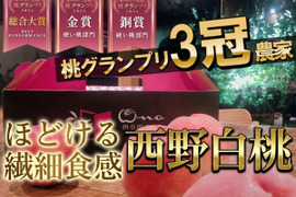 2026年7月下旬🎊全国桃グランプリ3冠小野桃園ブランド🎊作るのが難しすぎて幻となった西野白桃🍑一流レストラン御用達1kgお試し特価ももキャンペーン【朝どれ】グランプリ受賞の実力糖度🍑【夏ギフト】