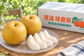 今季最後の梨！『清流球磨梨』新興　約5kg(5〜14個入り) 【9周年感謝祭】