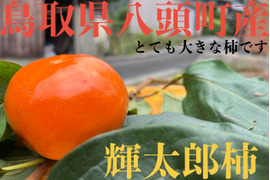 【2025予約販売】鳥取県八頭町産　輝太郎（きたろう）柿