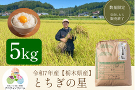 とちぎの星　未開封 とちぎの星未開封