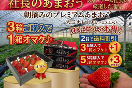 【3箱購入で・1箱オマケ】超大玉プレミアム あまおう【社長のあまおう】9玉～15玉入 約420g×3箱＋1箱 苺(イチゴ)の王様 甘王 いちご あるファームより産地直送