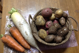 自然栽培　人気根菜４種６品種食べ比べセット（4㎏）