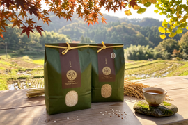 🌾 農薬化学肥料不使用栽培【きぬむすめ】白米10kg（5kg×2袋）（玄米/分つき精米可）