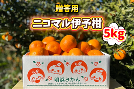 🍊香り推し🍊伊予柑　贈答用 5kg