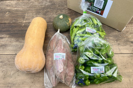 ☆有機JAS認証☆季節の彩り野菜セット