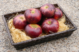 ■予約受付中■ほどよい酸味が魅力的なりんご・秋映（あきばえ）［３kg以上］目安：８〜１０個
