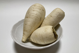 おろしそばに最適! 福井県産 辛味大根(品種名:からいね) 4kg