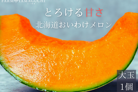 ギフトに大人気 【北海道メロン】 1玉入り　大玉
