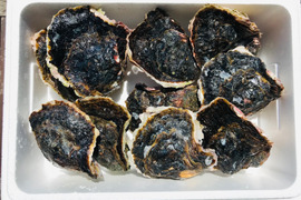 奥能登！　里海の恵み！　穴水産濃厚　岩牡蠣（生食用）　10個　＜300g～400g/１個＞：Mサイズ
