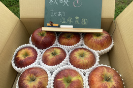 【予約】訳あり パリッと歯ごたえ！秋映『信州りんご』３kg
