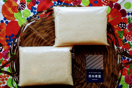 一等米【5分つき精米4kg（2kg×2袋）】特別栽培米コシヒカリ【80サイズ】令和5年産・有機・ 低農薬（80％以上削減）