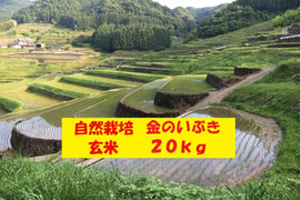 新米】自然栽培！「山田錦」玄米１０ｋｇ：佐賀県産のお米｜食べチョク