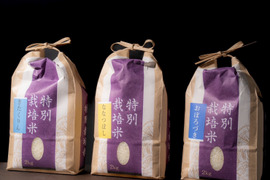 新米🌾北海道米満喫セット！ (令和5年産)3品種 各2kg(精米)