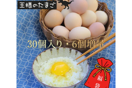 平飼い名古屋コーチンのたまご30個入り【福袋】通常より6個増量・お得な特別セット