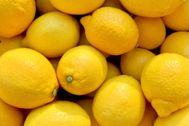 レモン 5kg【防腐剤・ワックス不使用】【家庭用】