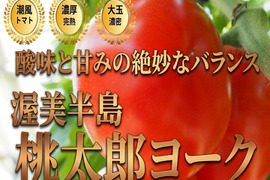 🍅初夏の晩酌がうまくなるトマト🍅品種指定『桃太郎ヨーク』切るだけでつまみになる☆お試キャンペーン約1kg【6月上旬予約】