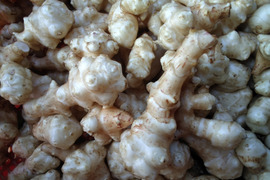 掘りたてを洗って直ぐお届け菊芋１kg【500g✖️２袋】