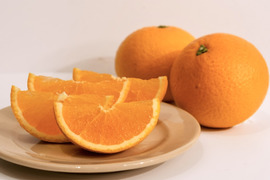 【ぷるあま果肉と濃厚果汁】清見【家庭用 5kg】（清見タンゴール、清見オレンジ）