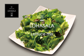 菌数管理栽培野菜 LOHASALA レタスミックス(5個セット×小分け100g)フリル株&ロメイン株(各3個) 洗わずに食べられる魅力満載のサスティナブル新野菜☆☆【LED施設栽培野菜】