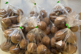 【毎日食べるご家庭向け】福岡県八女産キウイ 約6kg（50個以上） 食べやすいサイズ中心（約111〜145g） 農薬・化学肥料不使用