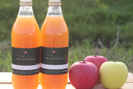 【夏ギフト】濃厚りんごジュース 完熟青森りんご100％『しぼってそのまんま』（1Ｌ×2本入）