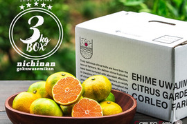 みかんRAs-Studio 　白 豪華版 日立 RAS-X71M2 W エアコン 白くまくん Xシリーズ (23畳用