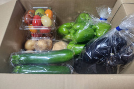 八ヶ岳高原の恵み満載！新鮮野菜5種詰め合わせセット