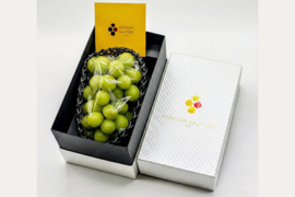 千房に一房の出会い【ラグジュアリーギフト】シャインマスカット約700g（1房）長野県認証/特別栽培同基準（信州の環境にやさしい農産物認証50）【2026年秋】