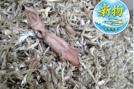 新物！食べ応え抜群！ ちりめん　お徳用　５0０g