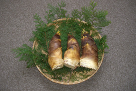 【朝採り】生たけのこSサイズ【3~4kg】