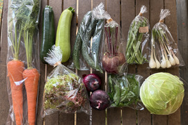 ギフトにも！【今が旬！10種類前後の夏野菜セット】/農薬・化学肥料不使用（簡単な調理例記載あり！）