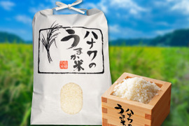 【令和7年新米】8月上旬発送！お弁当や和食に合う「ふさおとめ」5kg（精米）自家製米ぬかと有機質肥料で育ったお米
