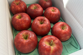 【予約販売】 シャキシャキ ジョナゴールド 約3kg(8～10個)