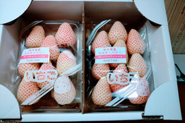白いイチゴ🍓ミルキーベリー🍓
二段詰270g×2パック入